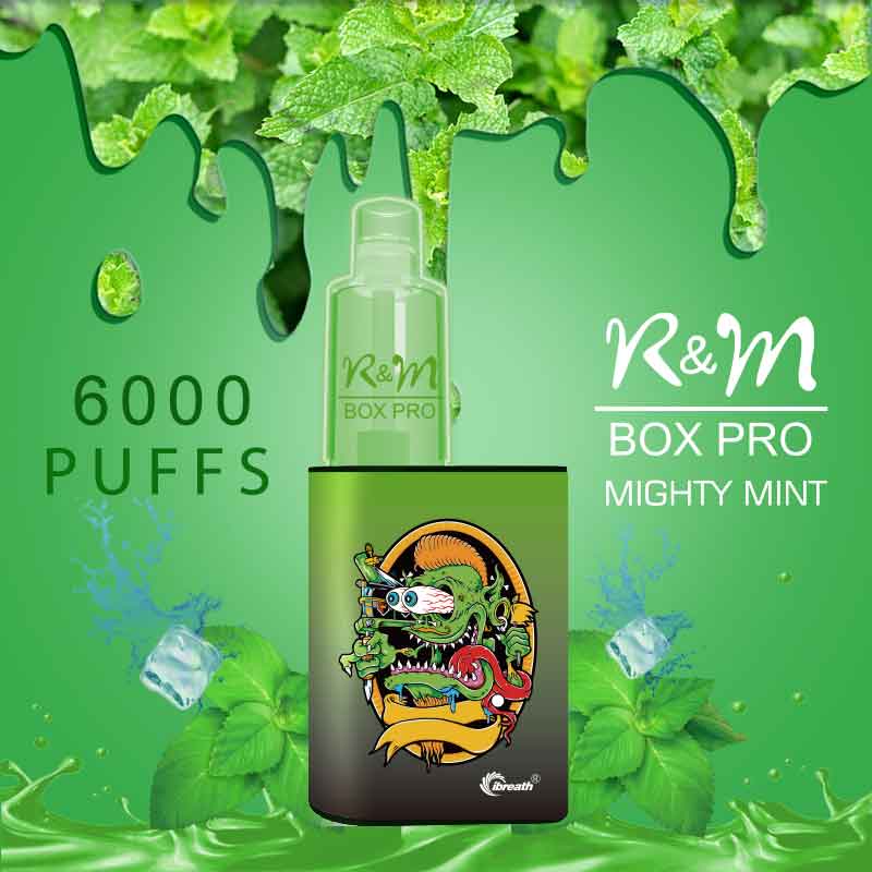 R&M BOX PRO Mighty Mint|Fruit Flavor|Disposable Vape Supplier|Hyde Vape