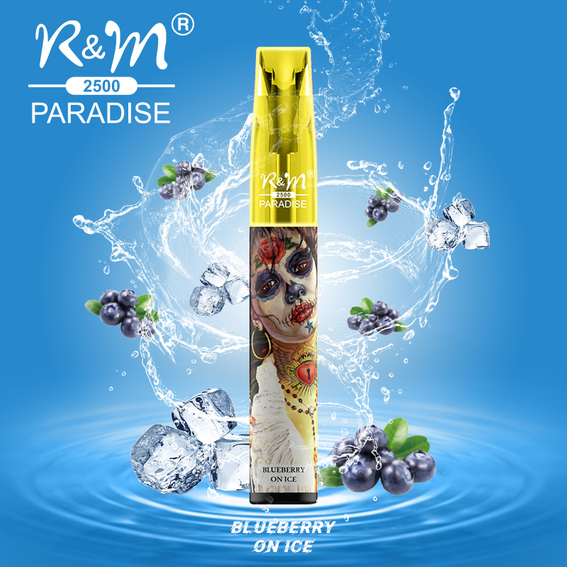 R&M PARADISE Ireland 2500 Puffs Customize Brand Disposable Vape