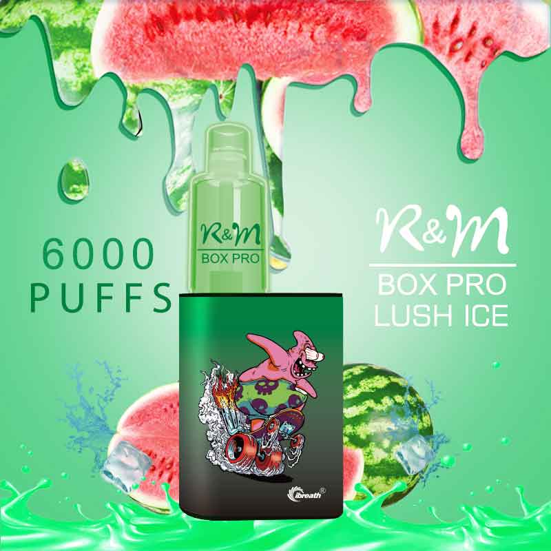 R&M BOX PRO 6000 Puffs Disposable Vape Manufacturer